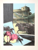 The Hunt