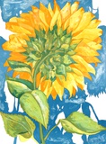 Sunflower no 1