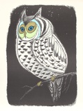 Lummon Owl