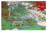 Bench in the Park