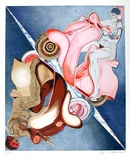 Flesh Cycle