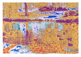 Ducks in a Pond