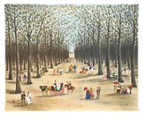 Tree Lined Path
