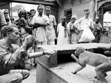 Puppeteer Bil Baird playing with a monkey  March 1962