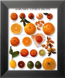 Citrus Fruit
