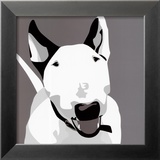 Bull Terrier