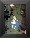 Alice Down the Rabbit Hole