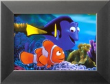 Searching for Nemo