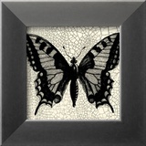 Classical Butterfly I