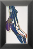 Ballet Slippers  c1981-82