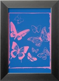 Vanishing Animals: Butterflies  c1986 (Hot Pink on Blue)