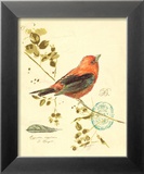 Gilded Songbird III