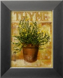 Thyme