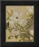 Magnolia and Butterfly