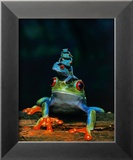 Frogs