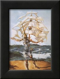 The Ship