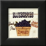 Blueberries Just Picked