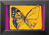 Vanishing Animals: Butterfly  c1986 (Yellow on Purple)