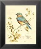 Gilded Songbird IV