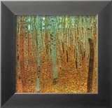 Forest of Beeches