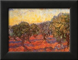 The Olive Grove  c1889