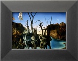 Swans Reflecting Elephants  c1937