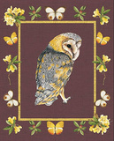 Nice Animals Owl