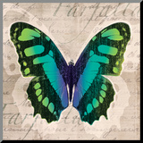 Butterflies II