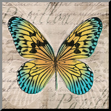 Butterflies I