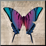 Butterflies IV