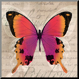 Butterflies III
