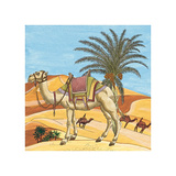 Arabian VII