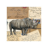 Africa Rhinoceros