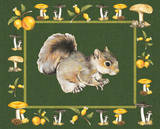 Nice Animals Squirrels