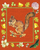 Nice Animals Chipmunks