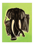 Elephants