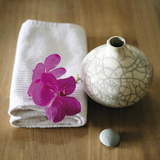 Orchidee et Vase