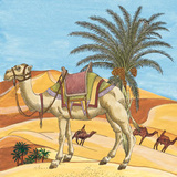 Arabian VII