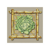 Vegetables Cabbage