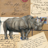 Africa Rhinoceros