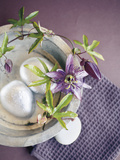 Bowl and Passionflower