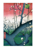 Plum Estate Kameido