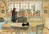 The Flower Window