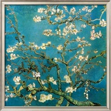 Almond Branches in Bloom  San Remy  c1890