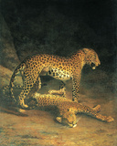 Two Leopards Playing