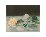 Two Roses on a Tablecloth  1882-83