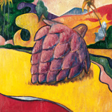 Sugar Apple