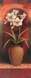 Potted Orchid White