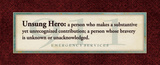 Emergency Services Unsung Hero
