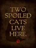 Spoiled Cat